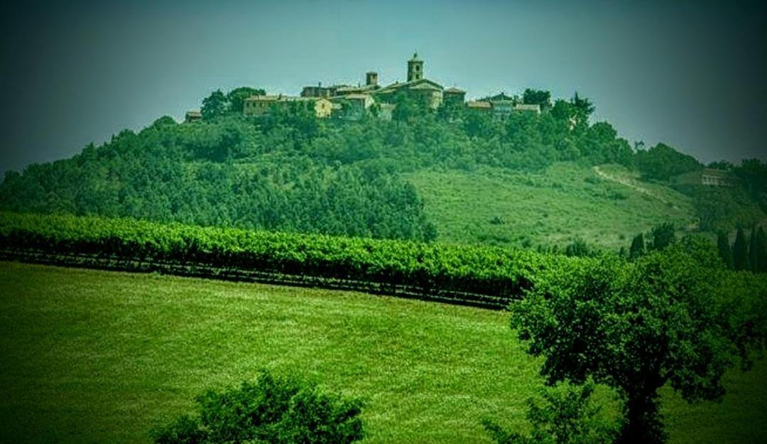 B&B Terramare Montiano  Buitenkant foto